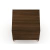 Manhattan Comfort Rockefeller 2.0 Mid-Century Modern 2-Drawer Nightstand in Brown